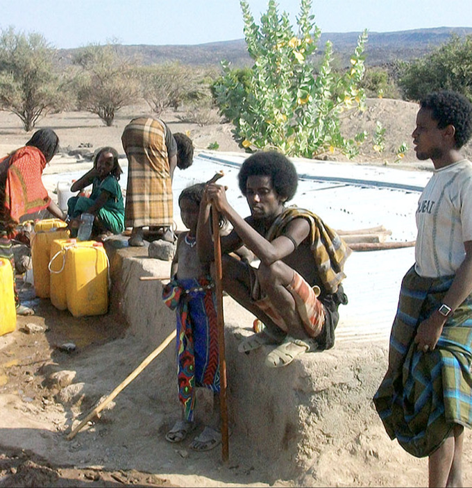 Ethiopian Birikut